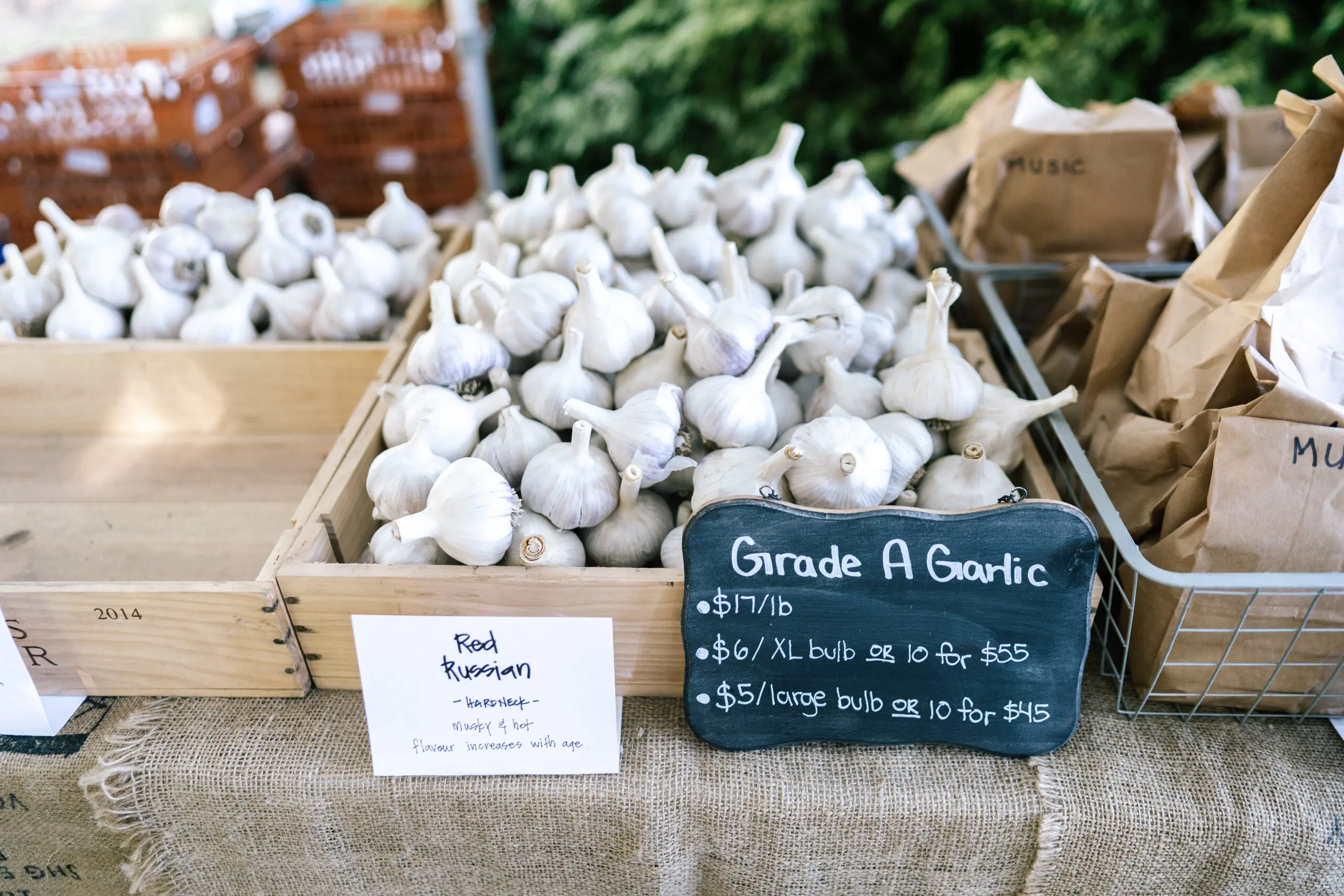 The Richmond Garlic Festival